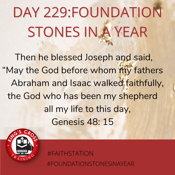 Day 229 - FOUNDATION STONES IN A YEAR