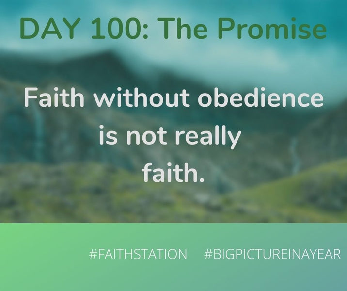 DAY 100 - BIG PICTURE IN A YEAR - THE PROMISE