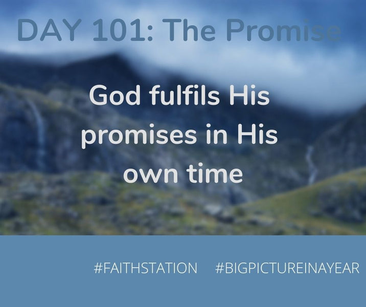 DAY 101 - BIG PICTURE IN A YEAR - THE PROMISE