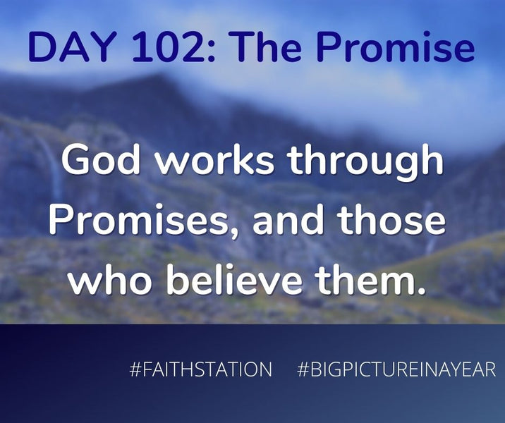 DAY 102 - BIG PICTURE IN A YEAR - THE PROMISE