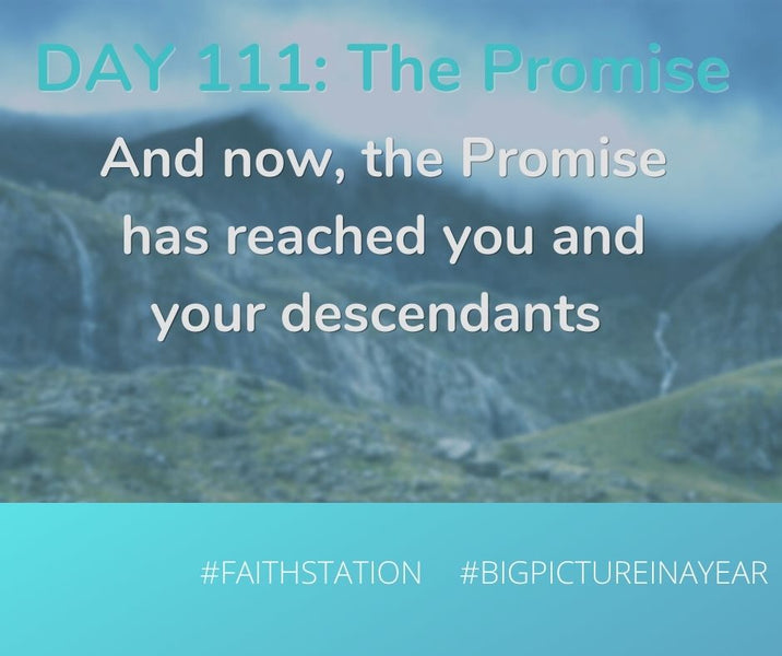 DAY 111 - BIG PICTURE IN A YEAR - THE PROMISE