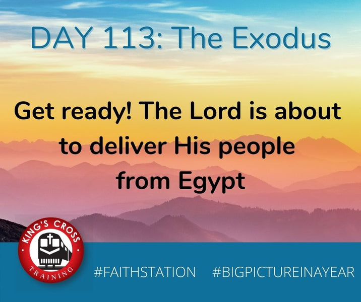 DAY 113 - BIG PICTURE IN A YEAR - THE EXODUS