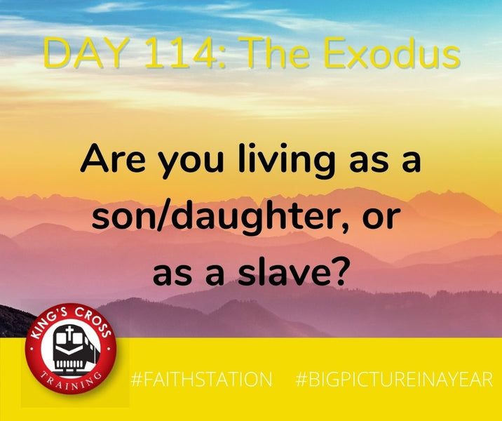 DAY 114 - BIG PICTURE IN A YEAR - THE EXODUS