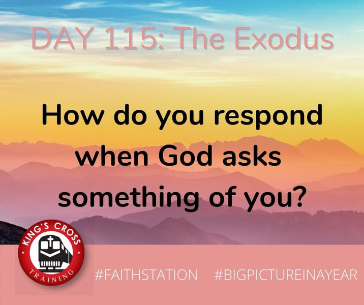 DAY 115 - BIG PICTURE IN A YEAR - THE EXODUS