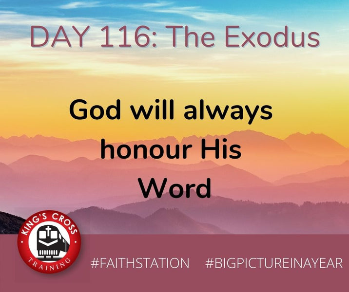 DAY 116 - BIG PICTURE IN A YEAR - THE EXODUS