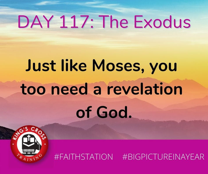 DAY 117 - BIG PICTURE IN A YEAR - THE EXODUS