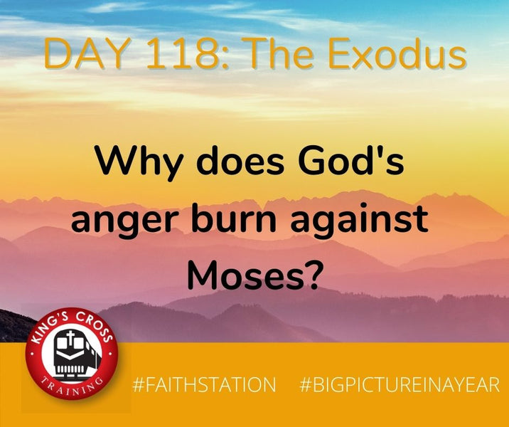 DAY 118 - BIG PICTURE IN A YEAR - THE EXODUS