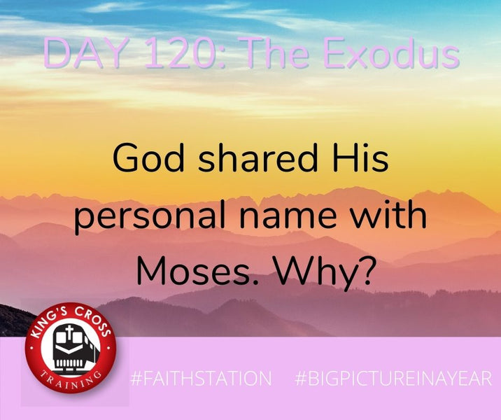 DAY 120 - BIG PICTURE IN A YEAR - THE EXODUS