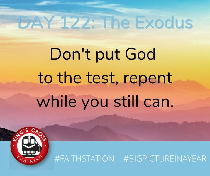 DAY 122 - BIG PICTURE IN A YEAR - THE EXODUS