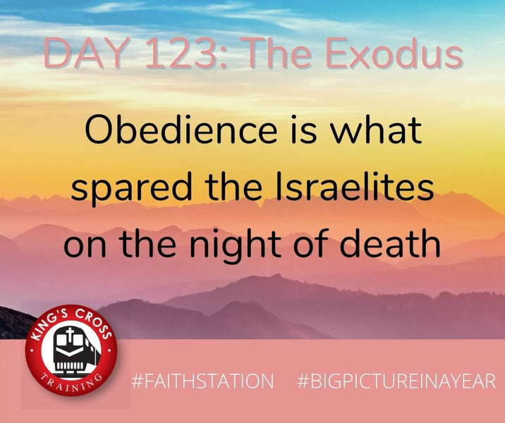 DAY 123 - BIG PICTURE IN A YEAR - THE EXODUS