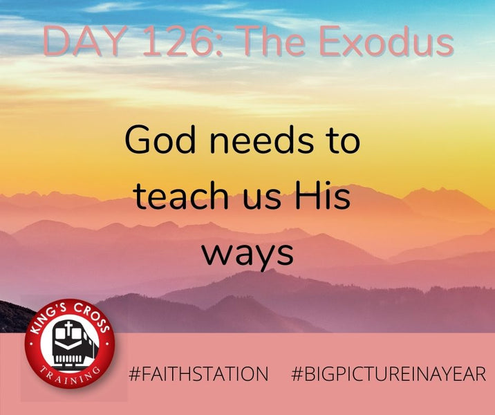 DAY 126 - BIG PICTURE IN A YEAR - THE EXODUS