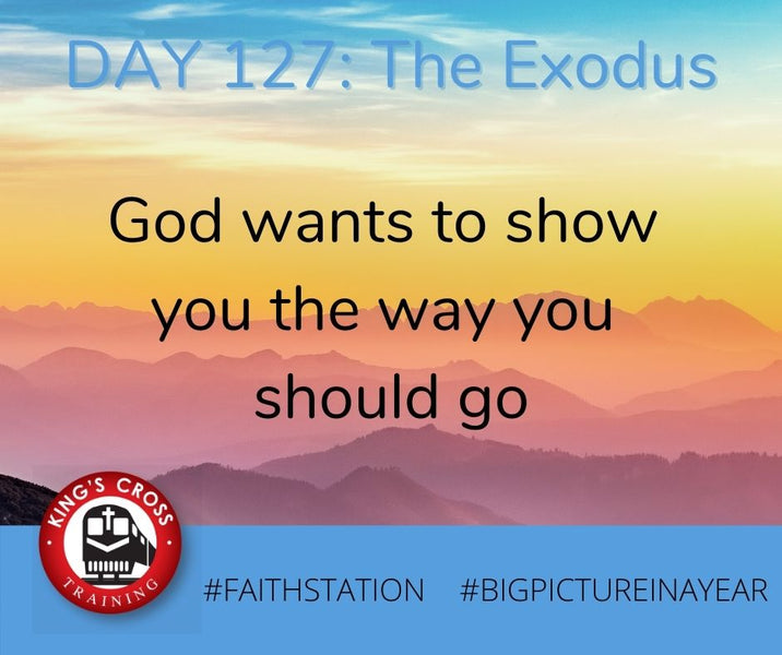 DAY 127 - BIG PICTURE IN A YEAR - THE EXODUS