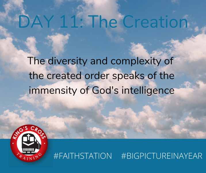 DAY ELEVEN - BIG PICTURE IN A YEAR - THE CREATION