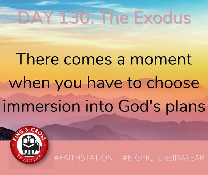 DAY 130 - BIG PICTURE IN A YEAR - THE EXODUS