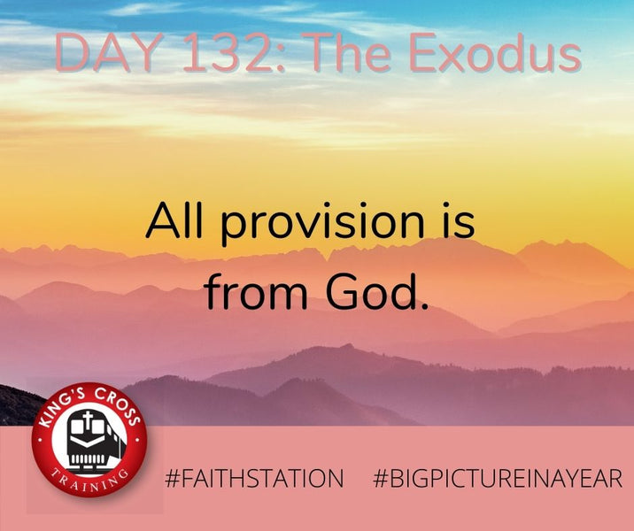 DAY 132 - BIG PICTURE IN A YEAR - THE EXODUS