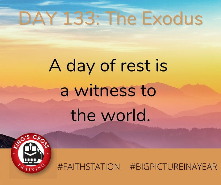 DAY 133 - BIG PICTURE IN A YEAR - THE EXODUS