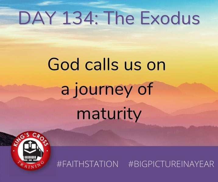 DAY 134 - BIG PICTURE IN A YEAR - THE EXODUS