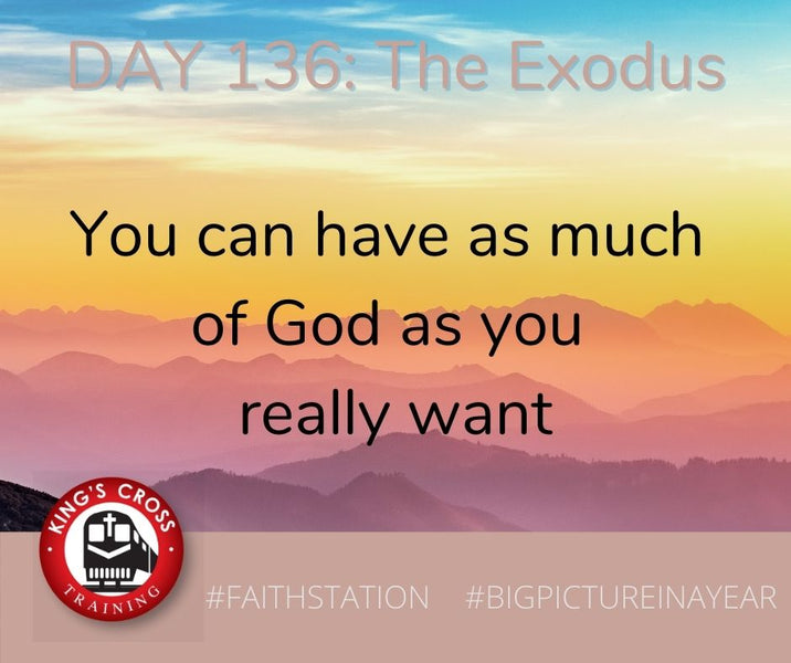 DAY 136 - BIG PICTURE IN A YEAR - THE EXODUS