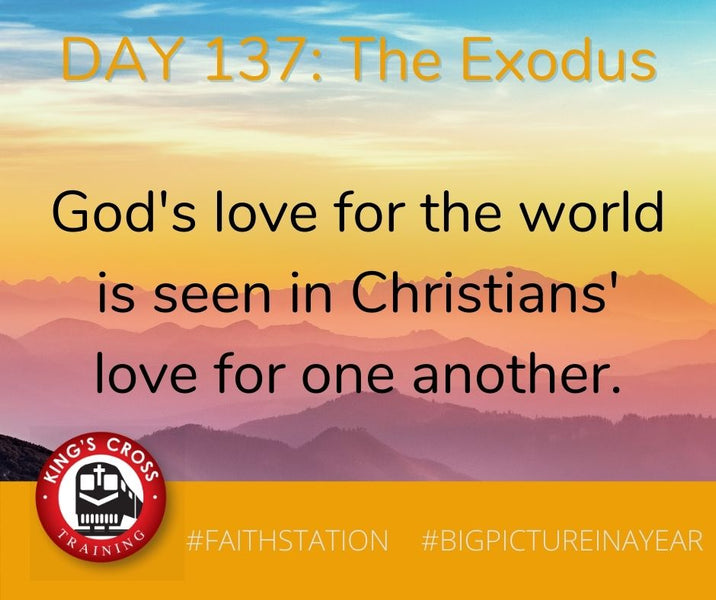 DAY 137 -  BIG PICTURE IN A YEAR - THE EXODUS