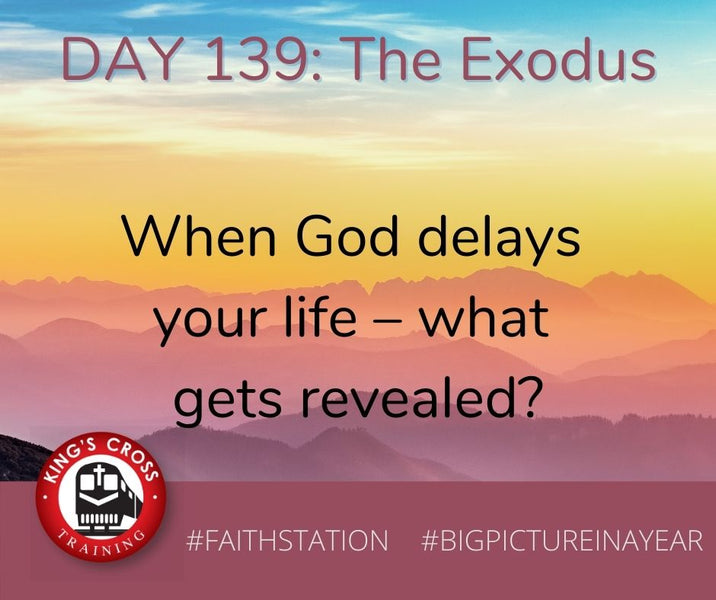 DAY 139 - BIG PICTURE IN A YEAR - THE EXODUS