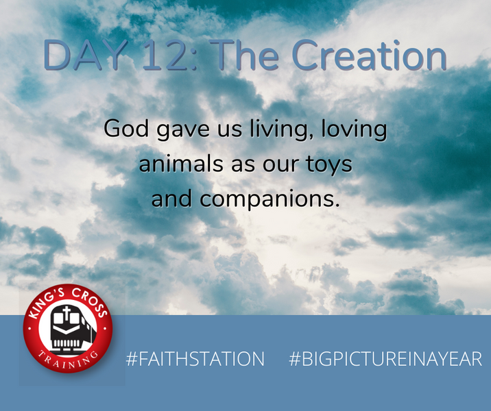 DAY TWELVE - BIG PICTURE IN A YEAR - THE CREATION