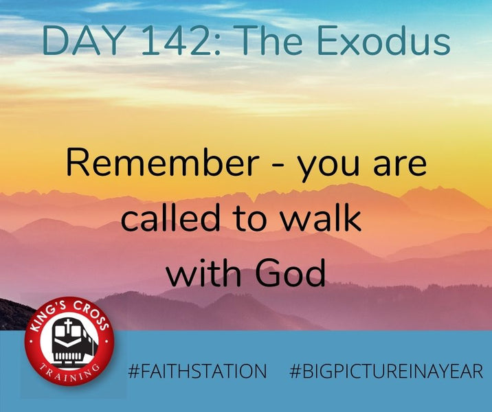 DAY 142 - BIG PICTURE IN A YEAR - THE EXODUS