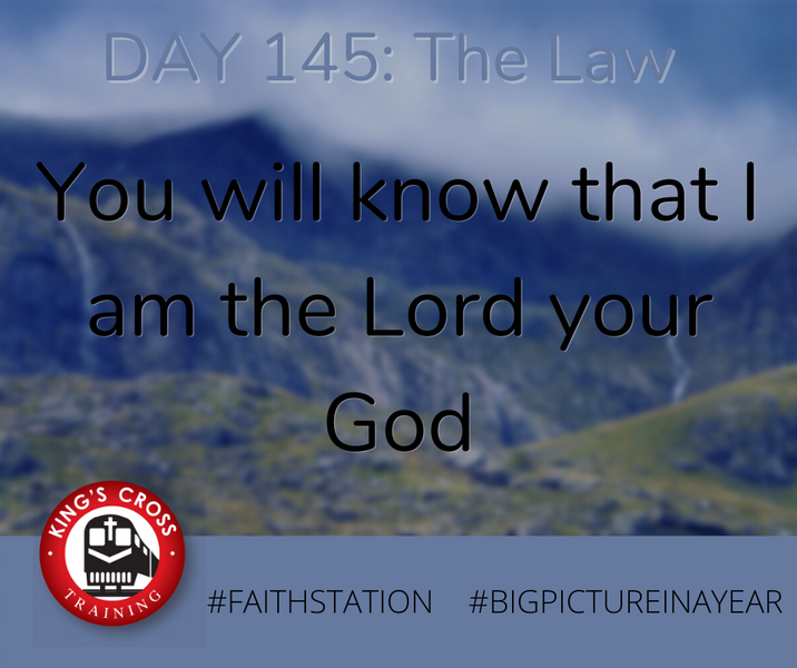 DAY 145 - BIG PICTURE IN A YEAR - THE LAW