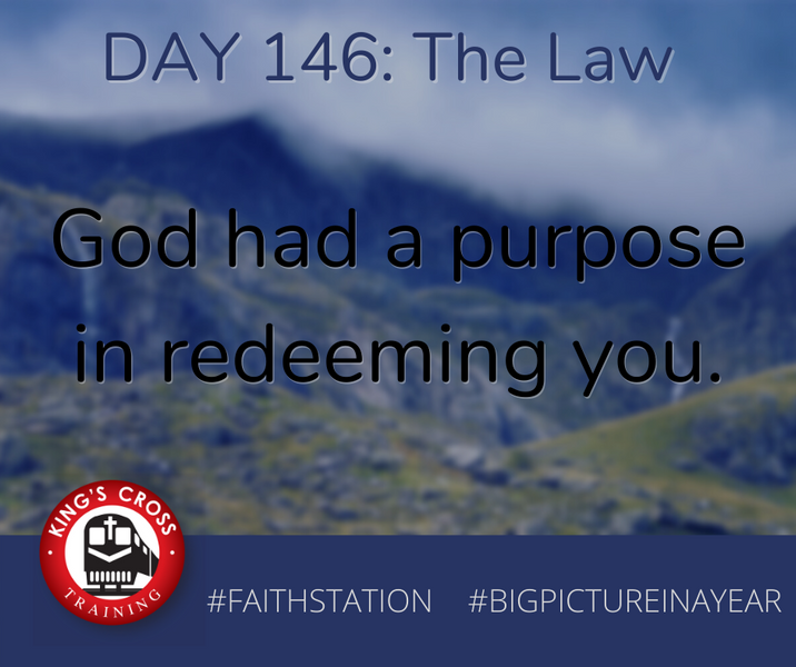 DAY 146 - BIG PICTURE IN A YEAR - THE LAW