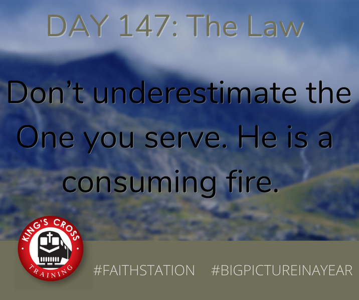 DAY 147 - BIG PICTURE IN A YEAR - THE LAW