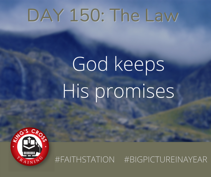 DAY 150 - BIG PICTURE IN A YEAR - THE LAW