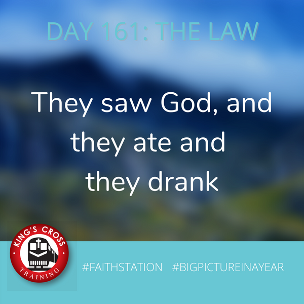 DAY 161 - BIG PICTURE IN A YEAR - THE LAW