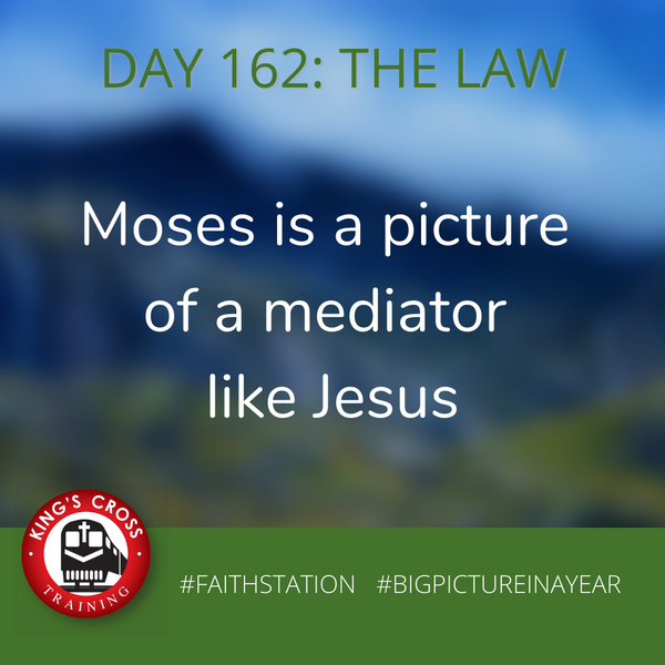 DAY 162 - BIG PICTURE IN A YEAR - THE LAW