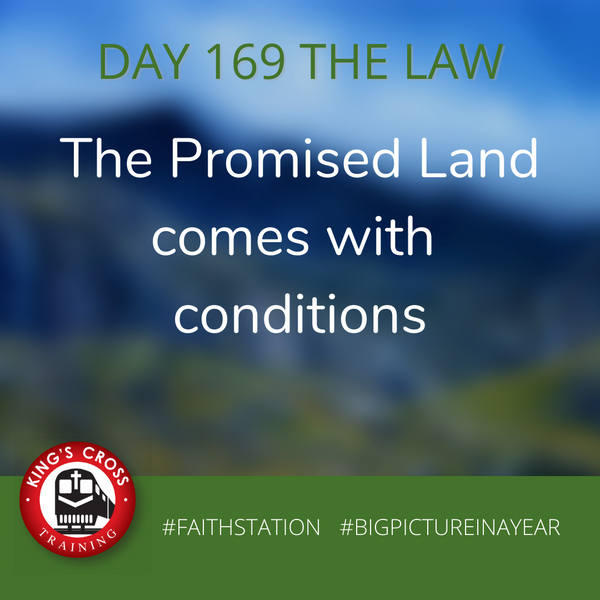 DAY 169 - BIG PICTURE IN A YEAR - THE LAW