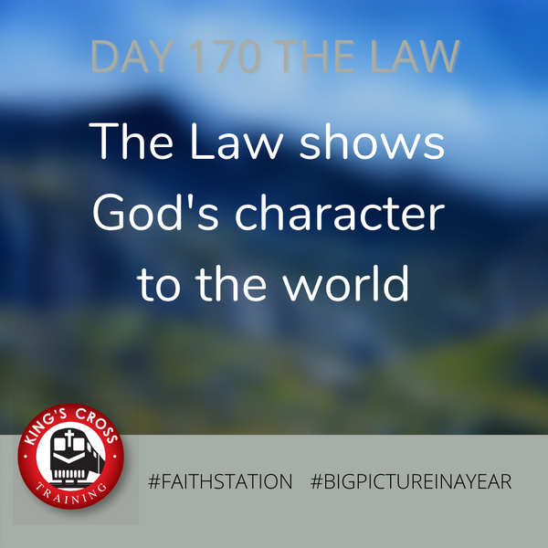 DAY 170 - BIG PICTURE IN A YEAR - THE LAW