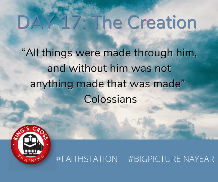 DAY SEVENTEEN - BIG PICTURE IN A YEAR - THE CREATION