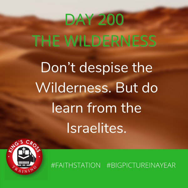 DAY 200- BIG PICTURE IN A YEAR - THE WILDERNESS