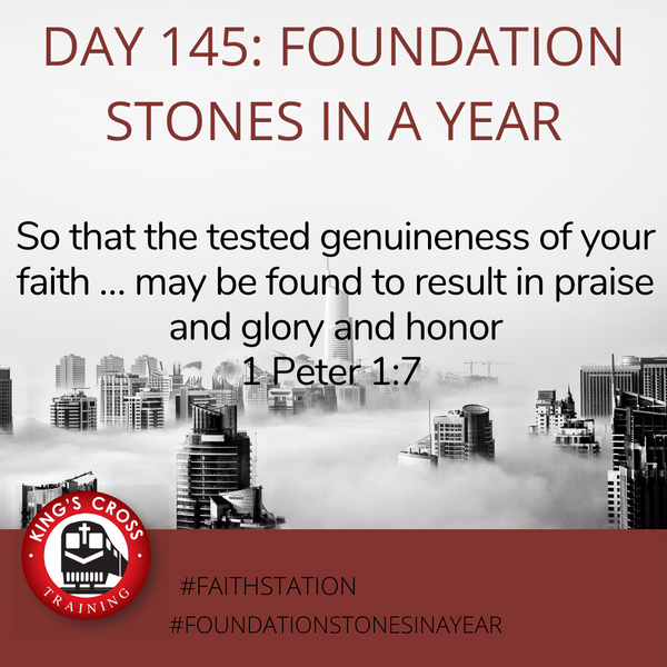 Day 145 - FOUNDATION STONES IN A YEAR