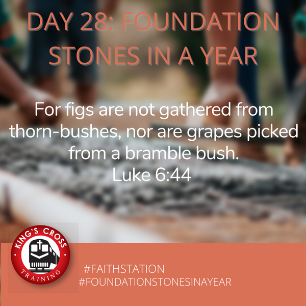 Day 28 - FOUNDATION STONES IN A YEAR