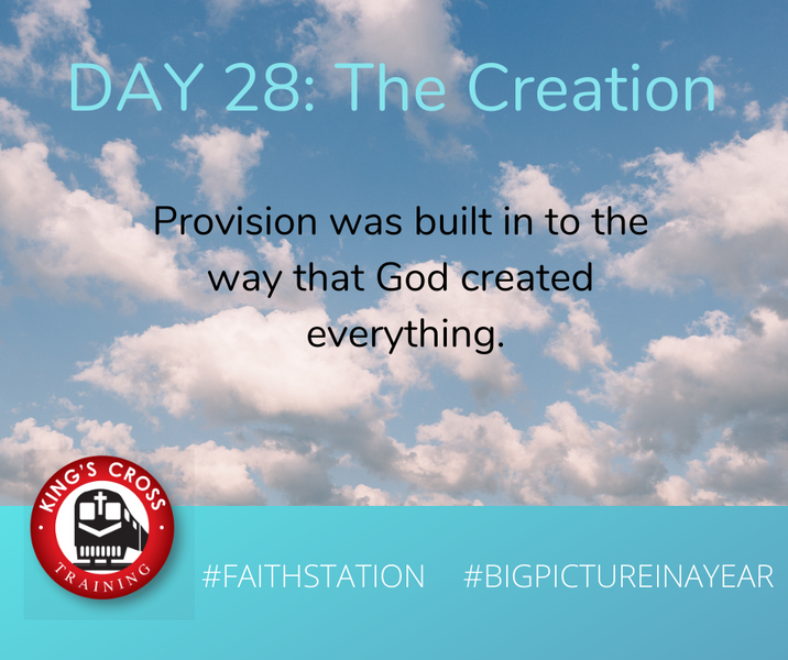 DAY TWENTY EIGHT - BIG PICTURE IN A YEAR - THE CREATION