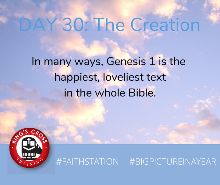 DAY THIRTY - BIG PICTURE IN A YEAR - THE CREATION