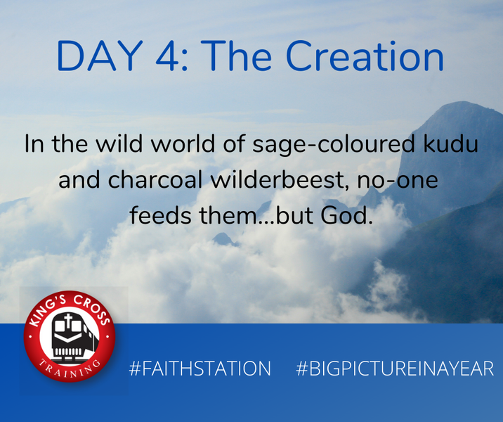 DAY FOUR - BIG PICTURE IN A YEAR - THE CREATION