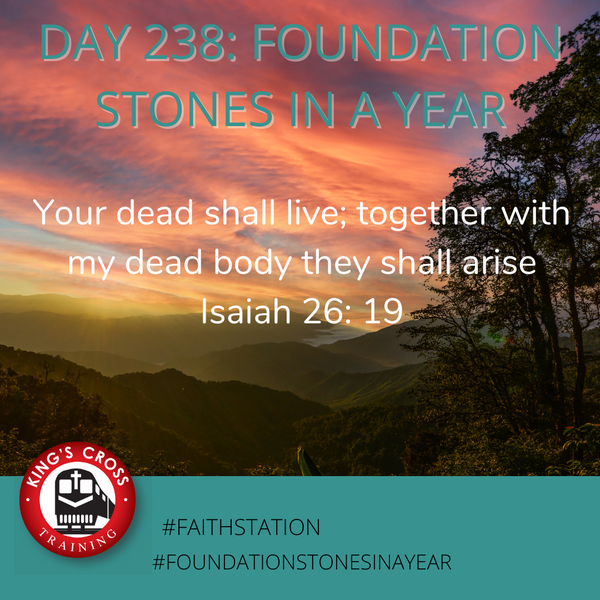 Day 238 - FOUNDATION STONES IN A YEAR
