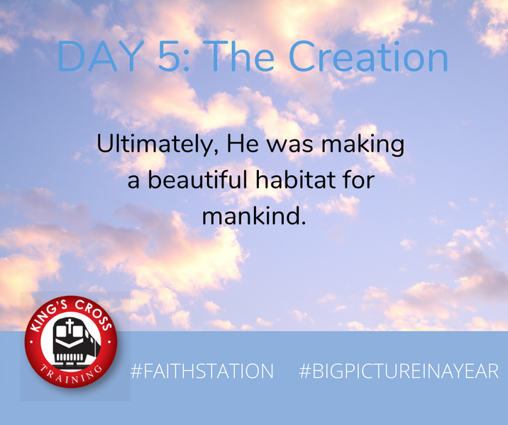 DAY FIVE - BIG PICTURE IN A YEAR - THE CREATION