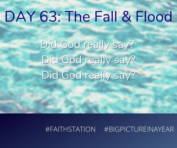 DAY 63 - BIG PICTURE IN A YEAR - THE FALL & THE FLOOD