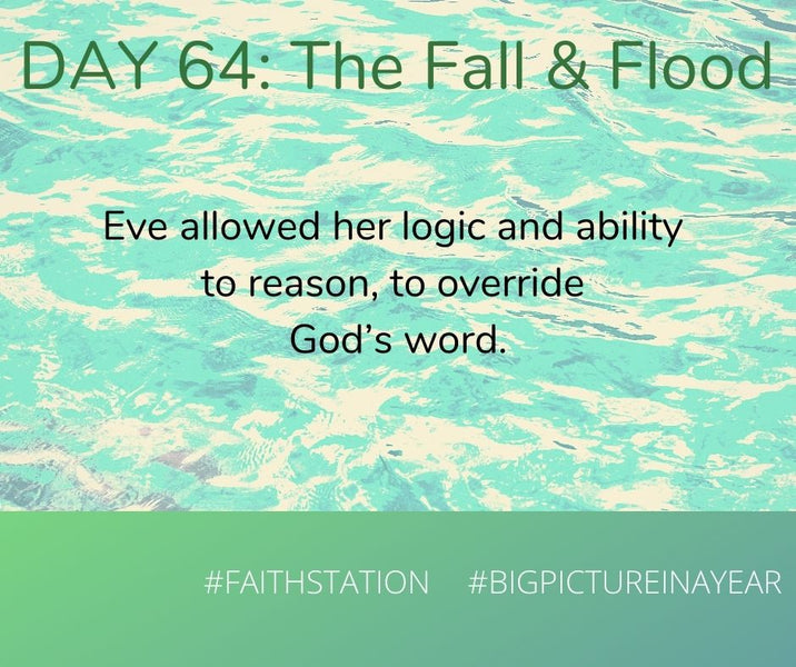 DAY 64 - BIG PICTURE IN A YEAR - THE FALL & THE FLOOD