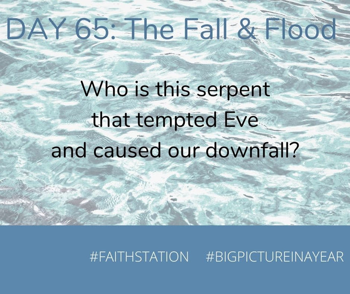 DAY 65 - BIG PICTURE IN A YEAR - THE FALL & THE FLOOD