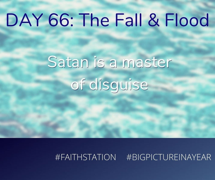 DAY 66 - BIG PICTURE IN A YEAR - THE FALL & THE FLOOD