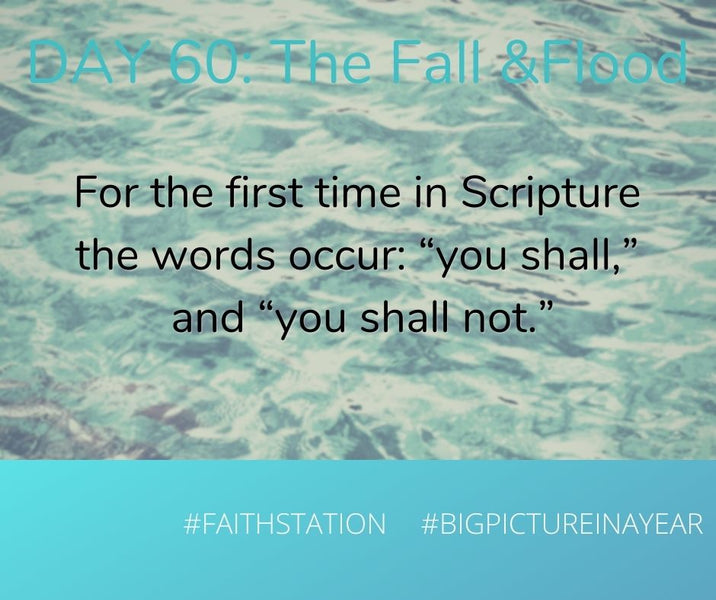 DAY 60 - BIG PICTURE IN A YEAR - THE FALL & THE FLOOD