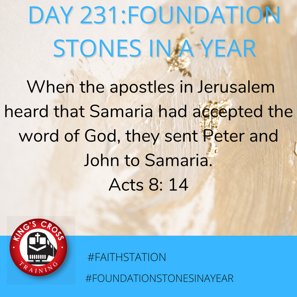 Day 231 - FOUNDATION STONES IN A YEAR