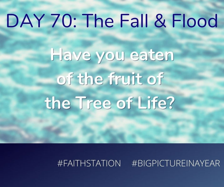 DAY 70 - BIG PICTURE IN A YEAR - THE FALL & THE FLOOD